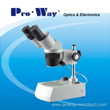 Professional High-grade Stereo Microscope